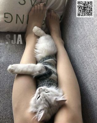 未知方程式电影
