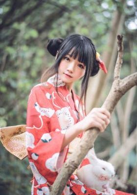 纪晓岚第一部40集免费下载
