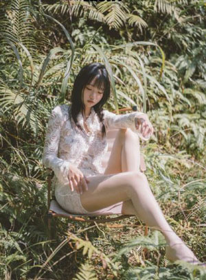 桃花扇传奇